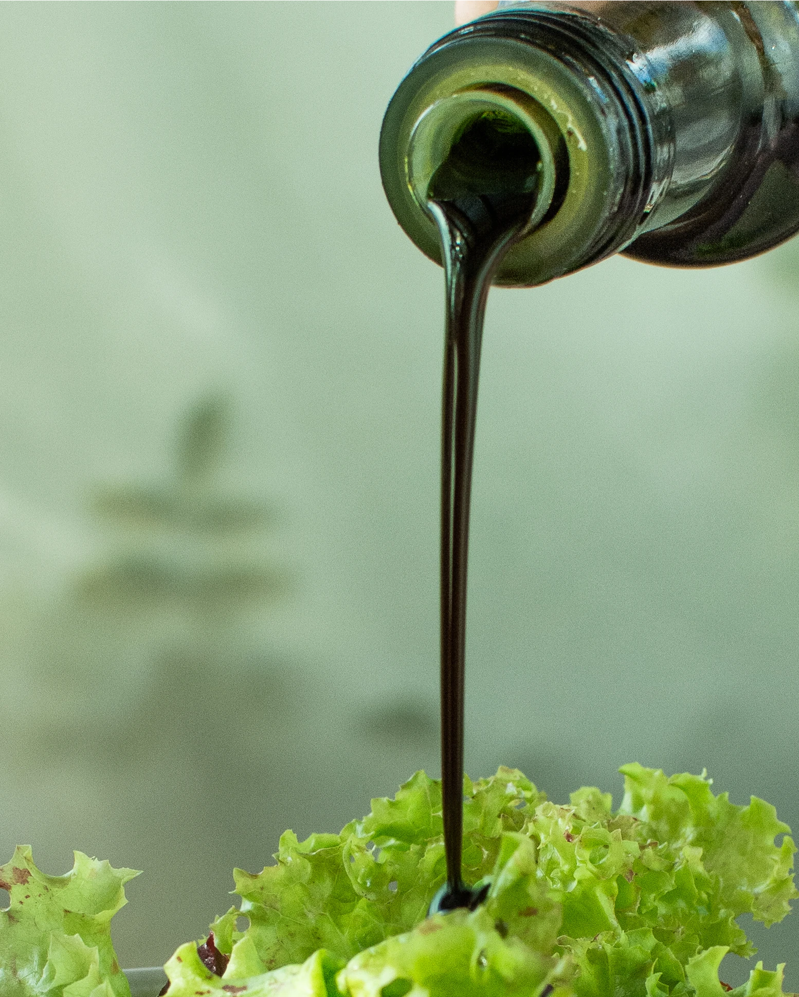 Aceite Kürbis sobre una lechuga
